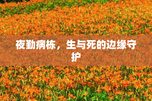 生与死的边缘守护图片