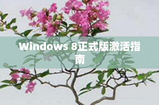 Windows 8正式版激活指南图片