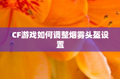 CF游戏如何调整烟雾头盔设置图片