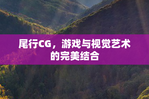 游戏与视觉艺术的完美结合图片