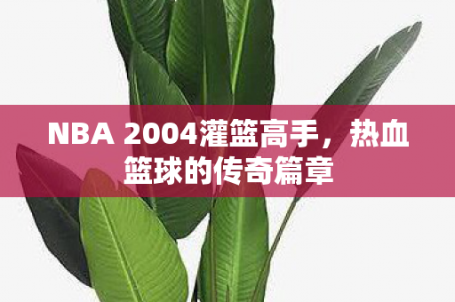NBA 2004灌篮高手图片