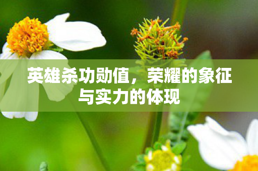 荣耀的象征与实力的体现图片