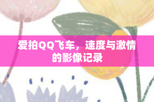 速度与激情的影像记录图片