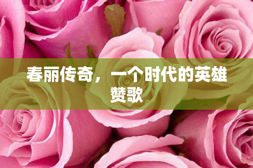一个时代的英雄赞歌图片