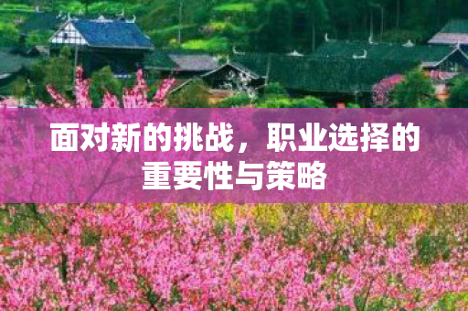 职业选择的重要性与策略图片