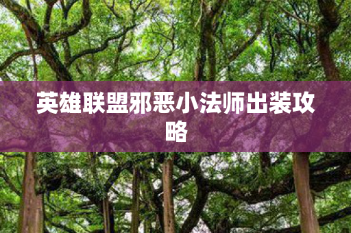 英雄联盟邪恶小法师出装攻略图片