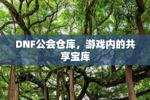游戏内的共享宝库图片