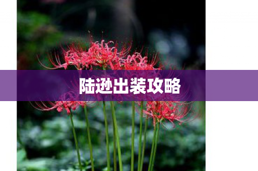 陆逊出装攻略图片