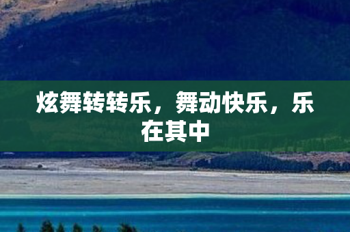 炫舞转转乐图片