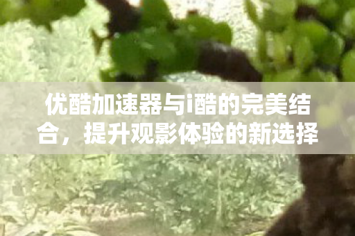 优酷加速器与i酷的完美结合图片