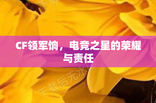 电竞之星的荣耀与责任图片
