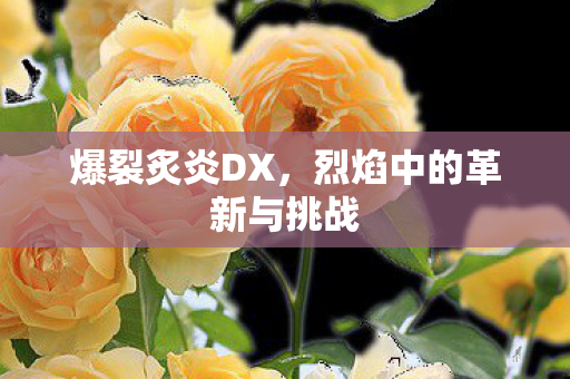 烈焰中的革新与挑战图片