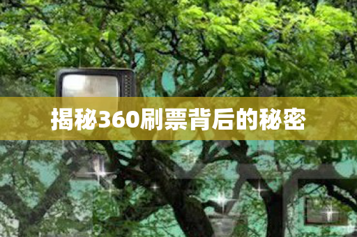 揭秘360刷票背后的秘密图片