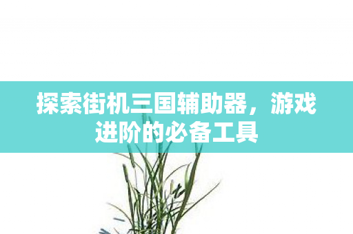 探索街机三国辅助器图片