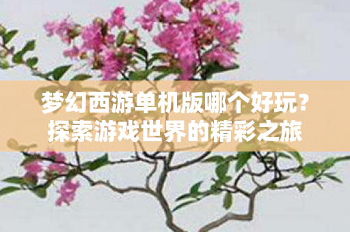 梦幻西游单机版哪个好玩图片