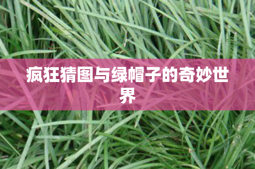 疯狂猜图与绿帽子的奇妙世界图片