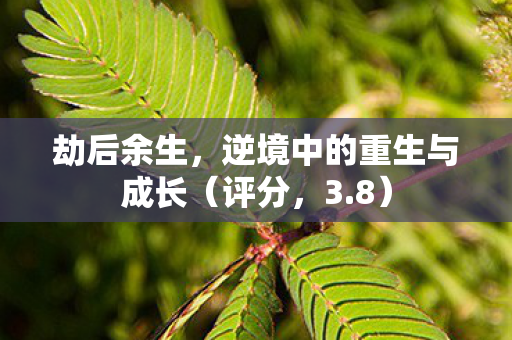 逆境中的重生与成长图片