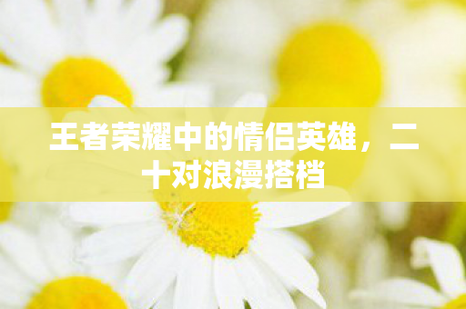 王者荣耀中的情侣英雄图片
