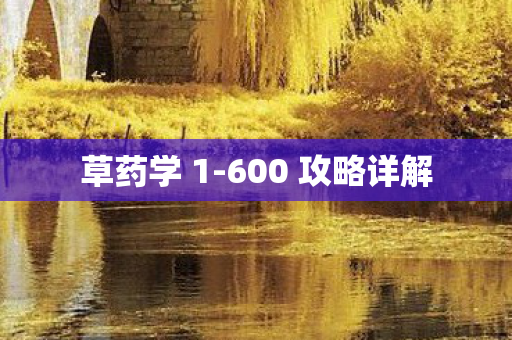 600 攻略详解图片