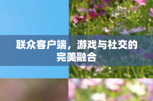 游戏与社交的完美融合图片