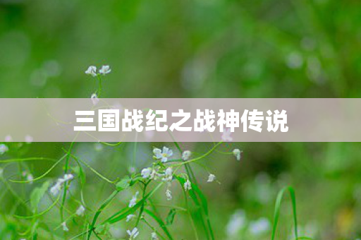 三国战纪之战神传说图片