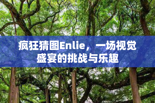 一场视觉盛宴的挑战与乐趣图片
