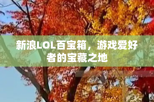 游戏爱好者的宝藏之地图片