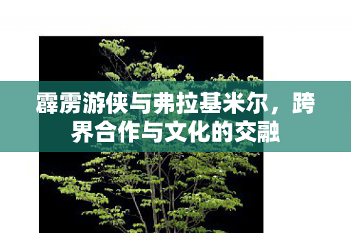 霹雳游侠与弗拉基米尔图片