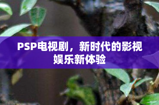 新时代的影视娱乐新体验图片