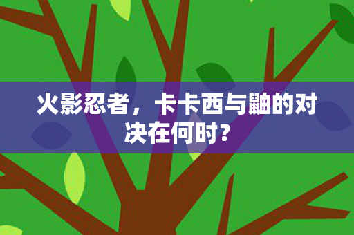 卡卡西与鼬的对决在何时图片