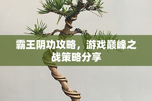 游戏巅峰之战策略分享图片