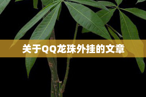 关于QQ龙珠外挂的文章图片
