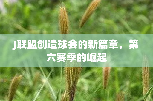 J联盟创造球会的新篇章图片