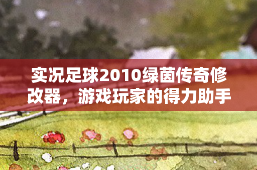 实况足球2010绿茵传奇修改器图片