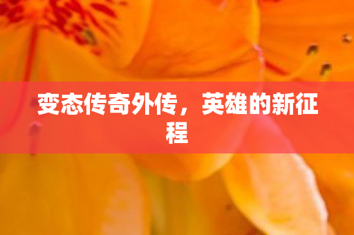 变态传奇外传图片