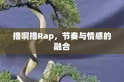 节奏与情感的融合图片