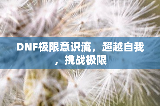 DNF极限意识流图片