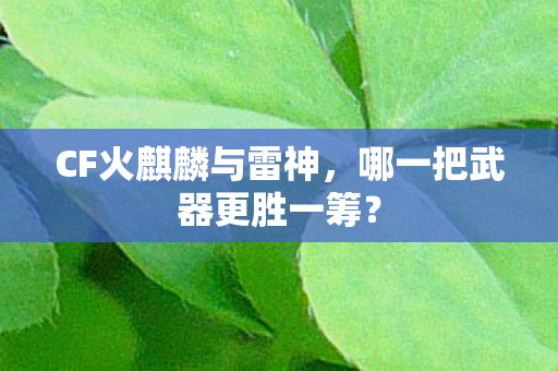 哪一把武器更胜一筹图片