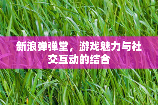 游戏魅力与社交互动的结合图片