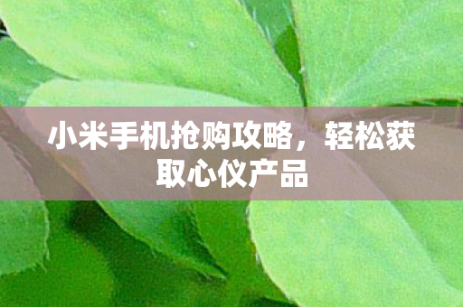 小米手机抢购攻略图片