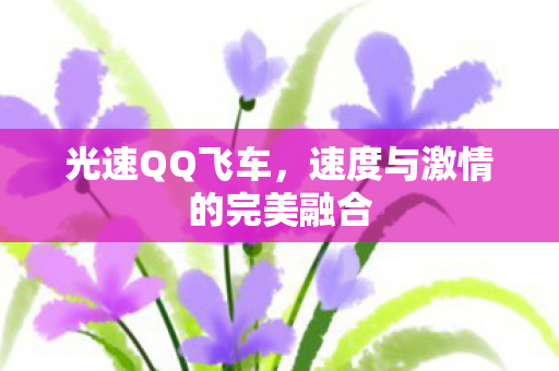 速度与激情的完美融合图片