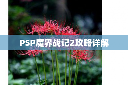PSP魔界战记2攻略详解图片