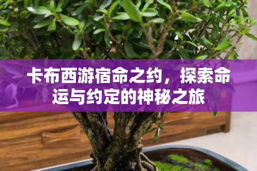 探索命运与约定的神秘之旅图片