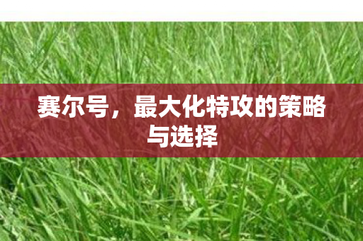 最大化特攻的策略与选择图片