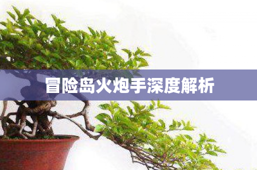 冒险岛火炮手深度解析图片