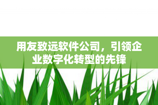 引领企业数字化转型的先锋图片