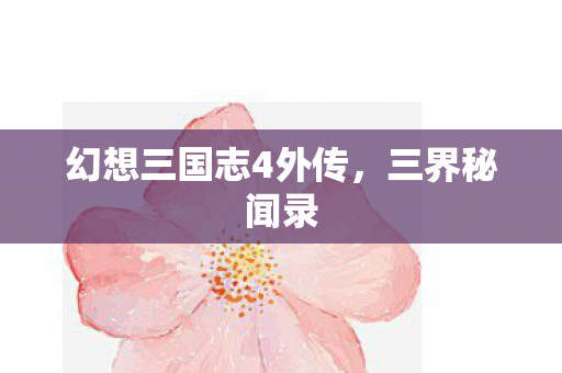 幻想三国志4外传图片