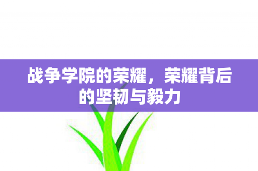 荣耀背后的坚韧与毅力图片