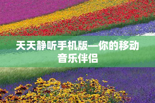 你的移动音乐伴侣图片