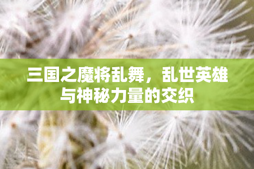 乱世英雄与神秘力量的交织图片